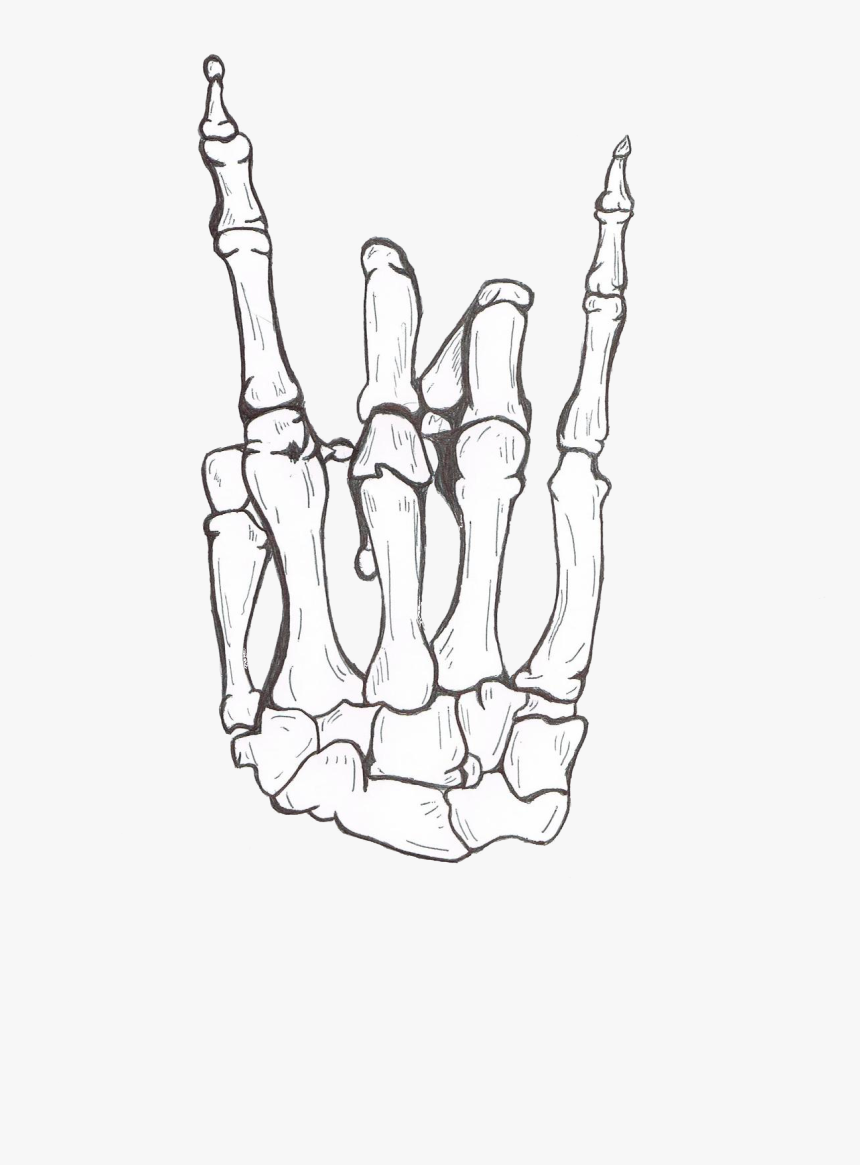 Transparent Hand Tattoo Png Hang Loose Skeleton Hand Png Download Kindpng