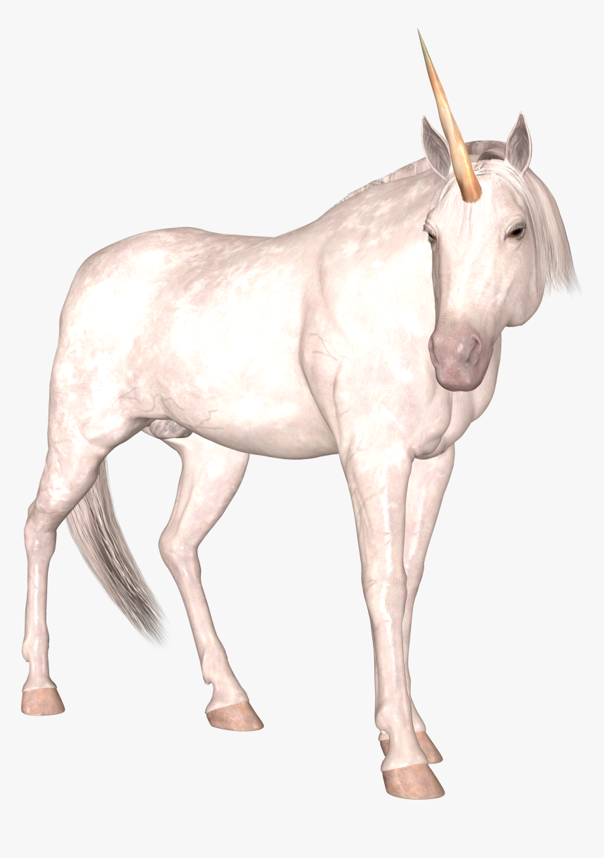 Download And Use Unicorn Png Image Without Background - Unicorn, Transparent Png, Free Download