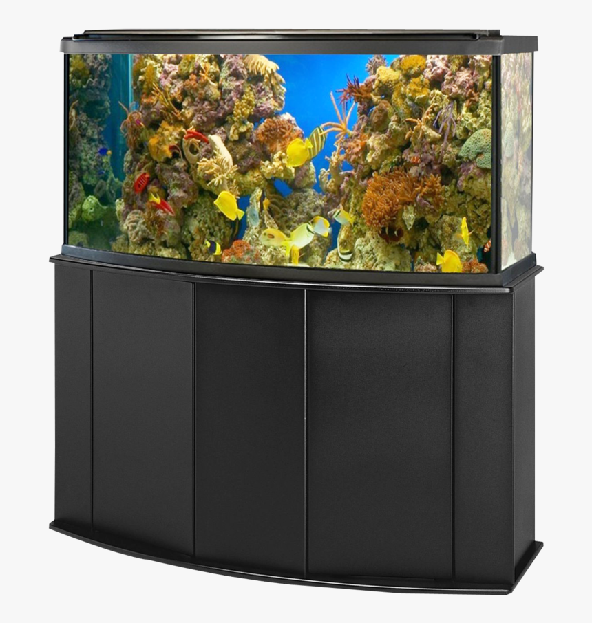 Aquarium Fish Tank Png, Transparent Png, Free Download