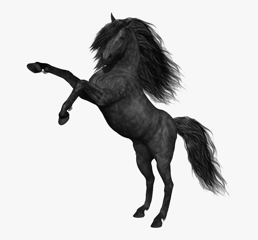 Mustang Horse Png Photos - Mustang Horse Png, Transparent Png, Free Download