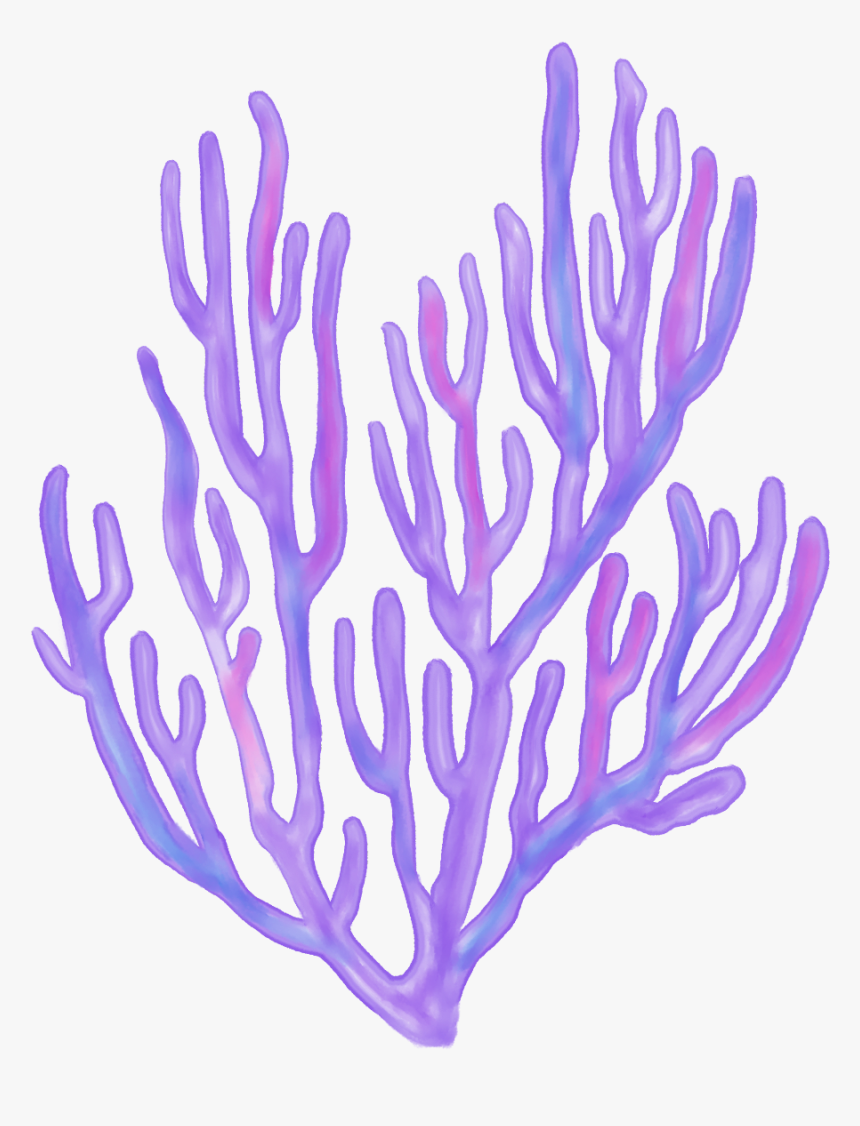 #coral #coralreefs #coralreef #sea #ocean #beach #designs - Sea Coral Transparent Cartoon, HD Png Download, Free Download