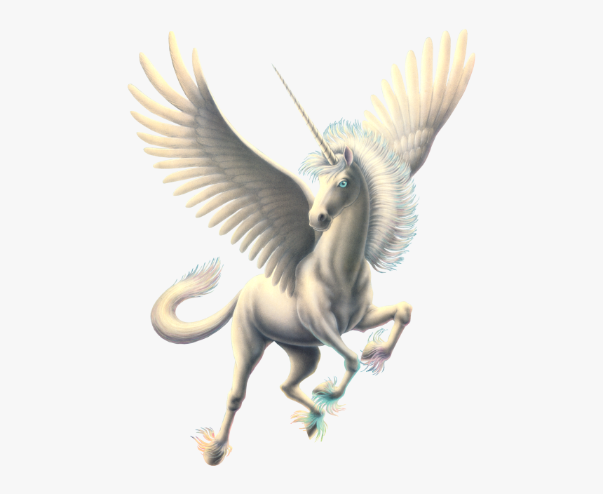 Flying Horse Png Photo - Transparent Pegasus Png, Png Download, Free Download