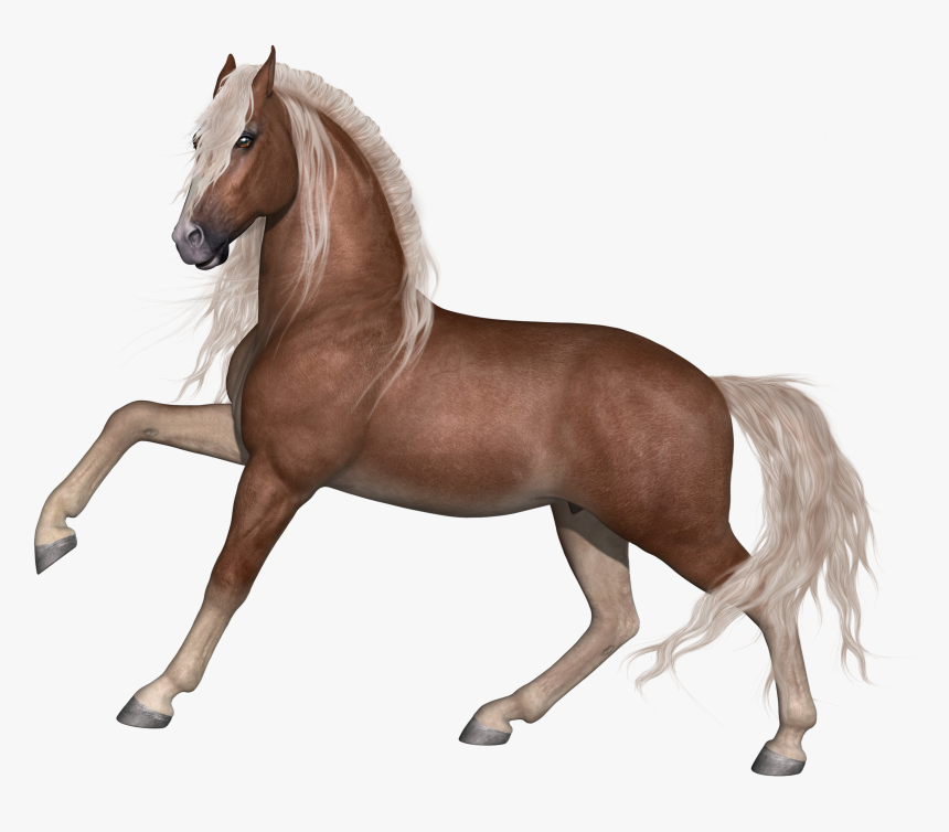 Animal Farm Horse, HD Png Download, Free Download