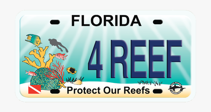 Protect Our Reef Plate - Graphic Design, HD Png Download, Free Download