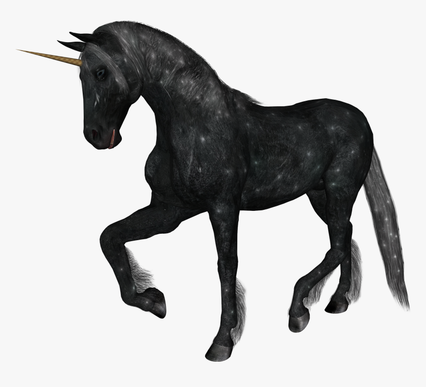 Unicorn Png - Horn Unicorn Realistic Png, Transparent Png, Free Download
