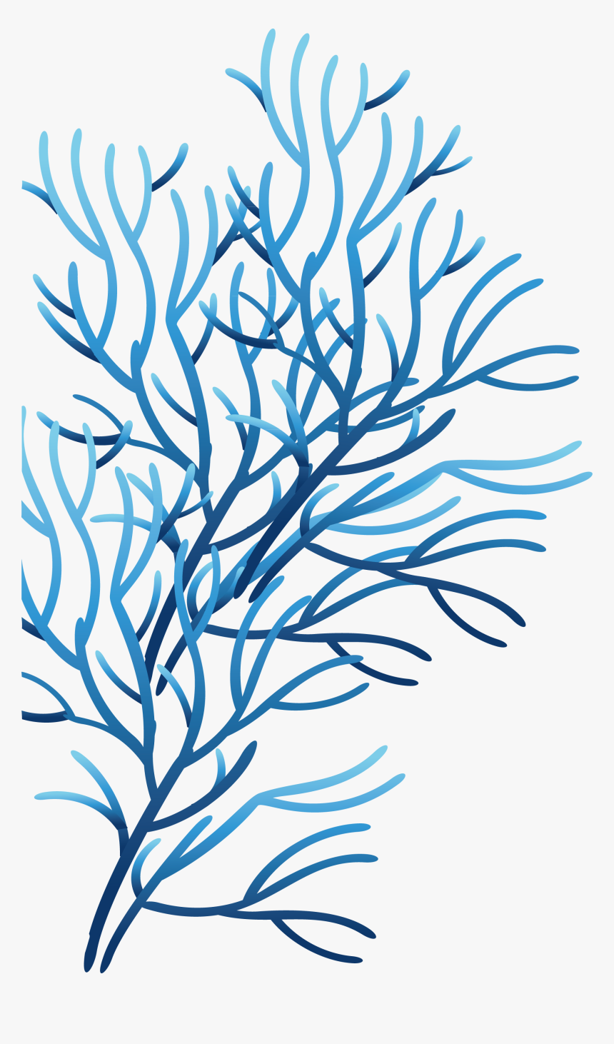 Reef Drawing Red Algae Huge Freebie Download For Powerpoint - Ocean Transparent Background Coral Clipart, HD Png Download, Free Download