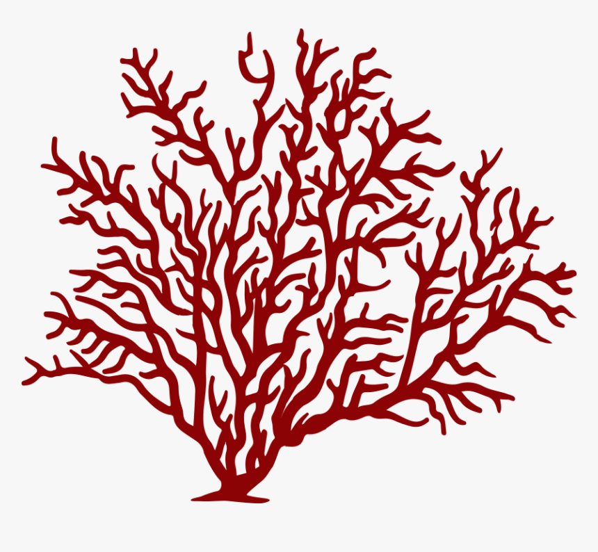 #coral #reef #fish #sea #red #freetoedit - Coral Png, Transparent Png, Free Download