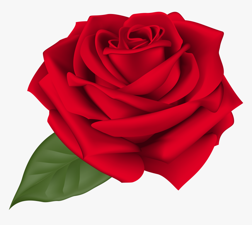 Red Roses Border Png, Transparent Png, Free Download