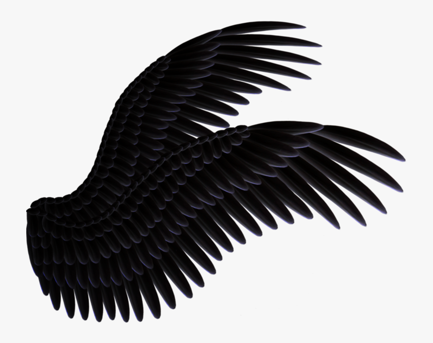 Realistic Black Wings Png, Transparent Png, Free Download