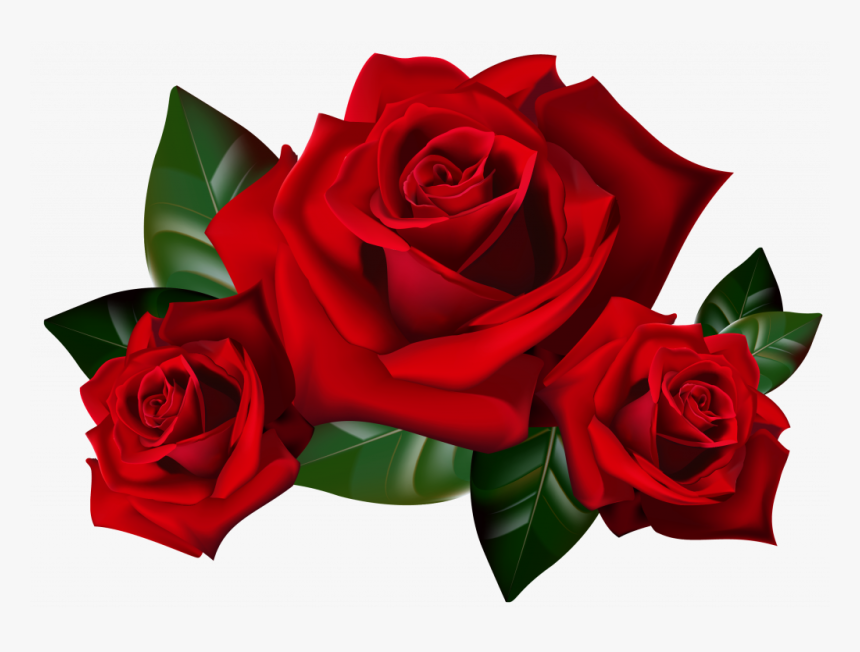 Rose Cliparts Transparent Background - Red Roses Clip Art, HD Png Download, Free Download