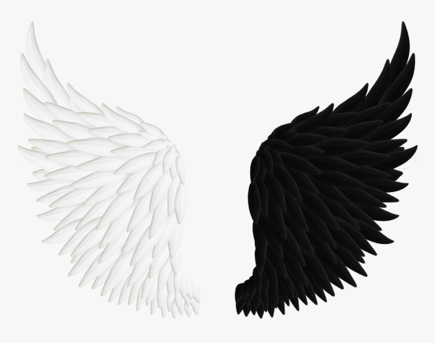 Angel Wings Png, Transparent Png, Free Download