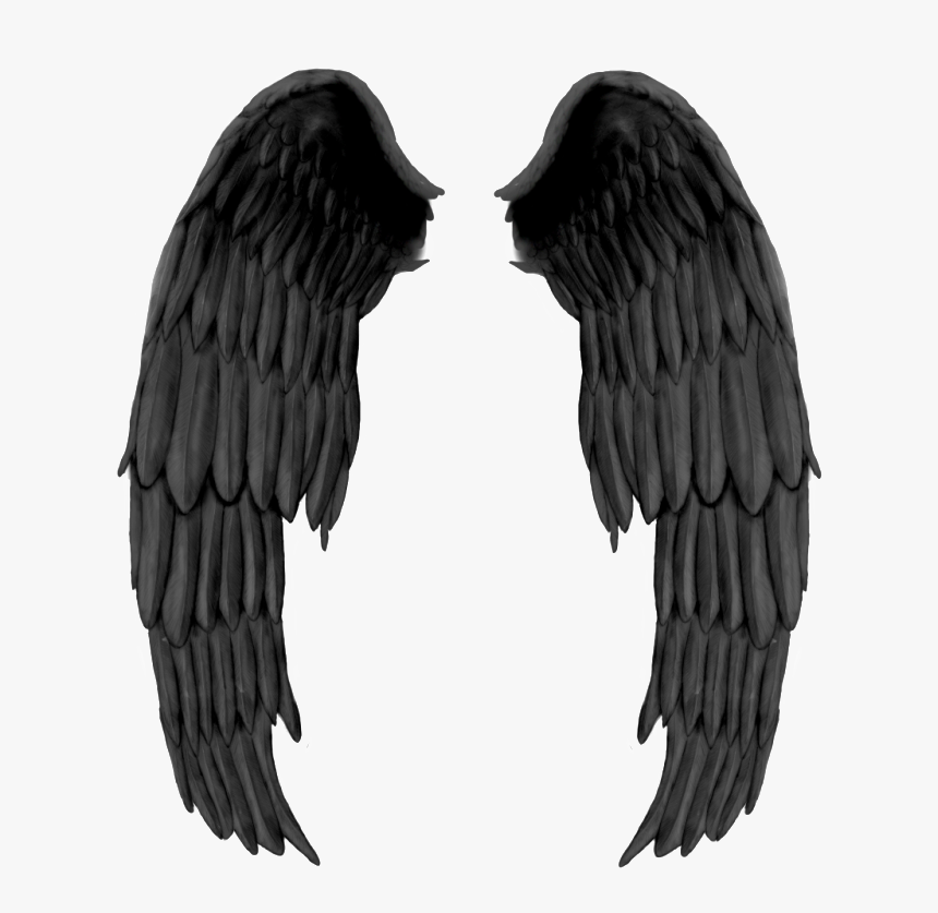 Black Evil Wings Png - Petronas Towers, Transparent Png, Free Download