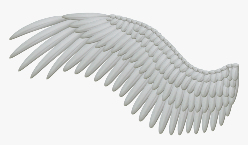 Wings Png Hd - Angel Wing Png, Transparent Png, Free Download