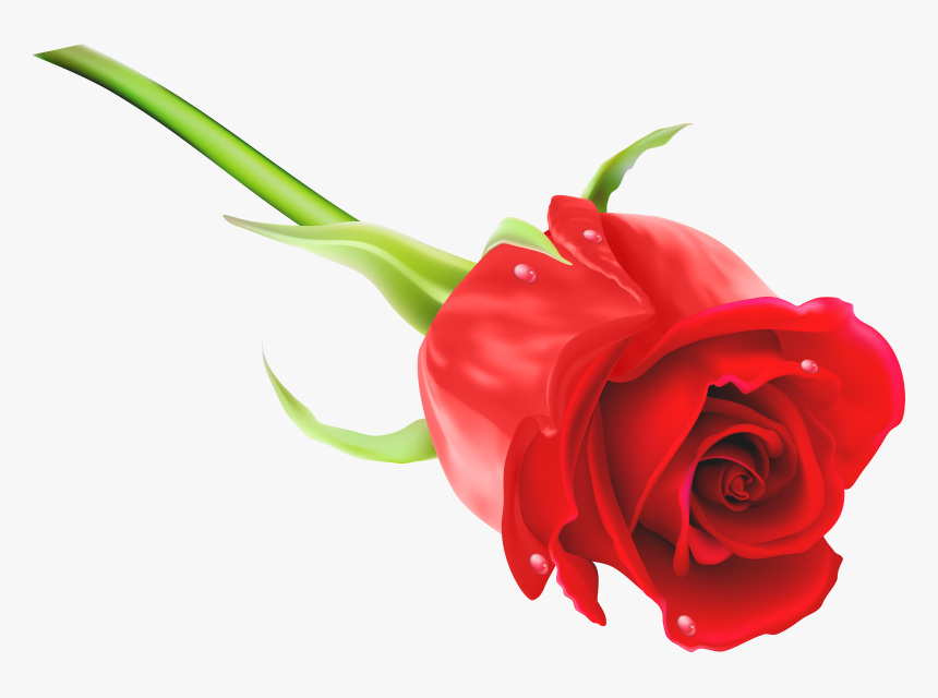 Red Rose Png Clip Art Imageu200b Gallery Yopriceville - Rose Image Png Hd, Transparent Png, Free Download