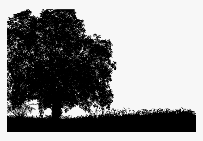 Tree, Silhouette, Landscape, Trees, Branches, Nature - Anziehung Zwischen Zwei Menschen, HD Png Download, Free Download