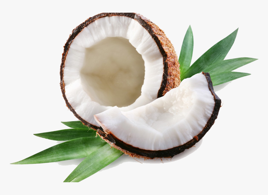 Coconut Free Download Png - Coconut Transparent, Png Download, Free Download