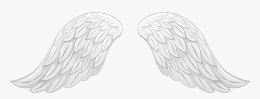 Transparent Angel Wings - White Angel Wings Clipart Png, Png Download, Free Download