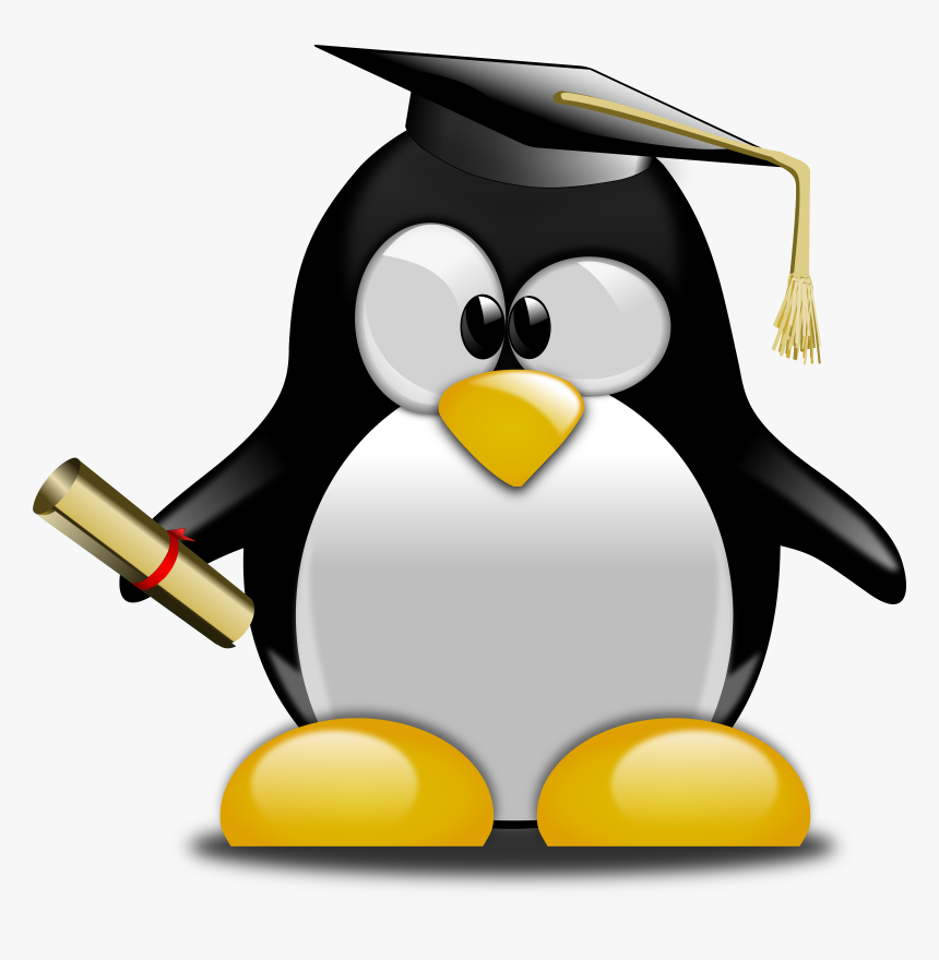 Tux Graduate Clip Arts - Penguin Graduate, HD Png Download, Free Download