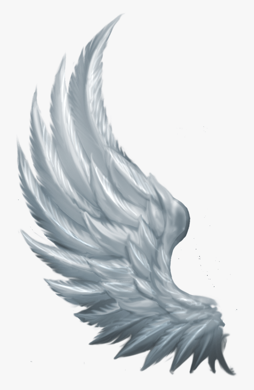 Side Angel Wings Png , Png Download - Transparent Side Angel Wings, Png D.....