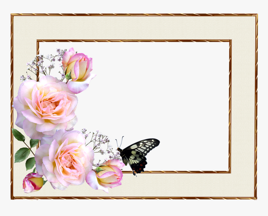 Frame, Border, Roses, Butterfly, Design, HD Png Download, Free Download