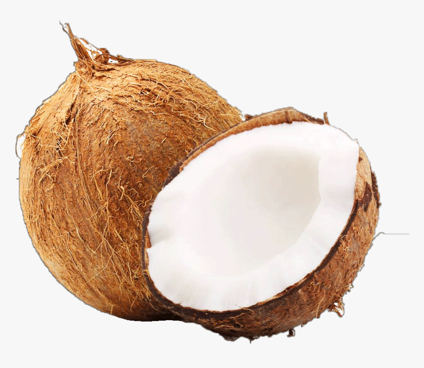 Coconut Each - Coconut Water Related Words, HD Png Download, Free Download