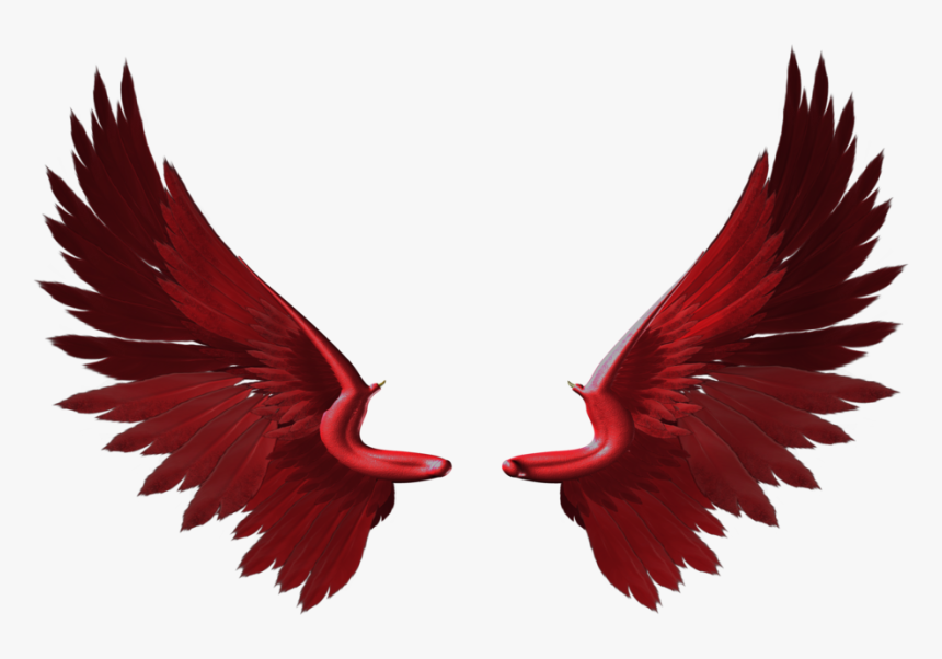 Eagle Wings Red Png, Transparent Png, Free Download