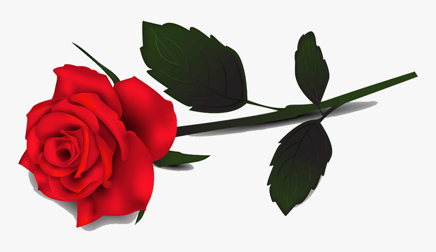 Konsekvent virtuel Tectonic Red Rose Clipart - Single Red Rose Transparent Background, HD Png Download  - kindpng