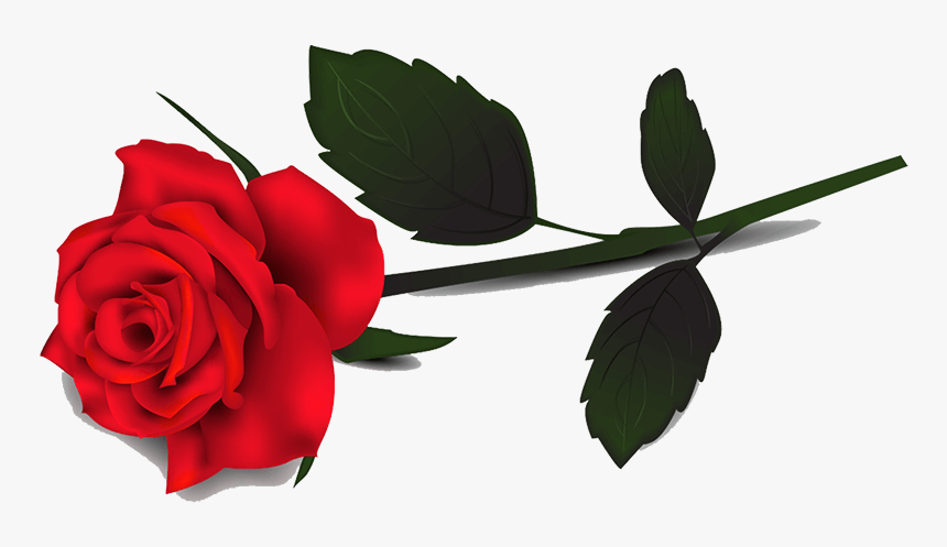 Red Rose Clipart - Single Red Rose Transparent Background, HD Png Download, Free Download