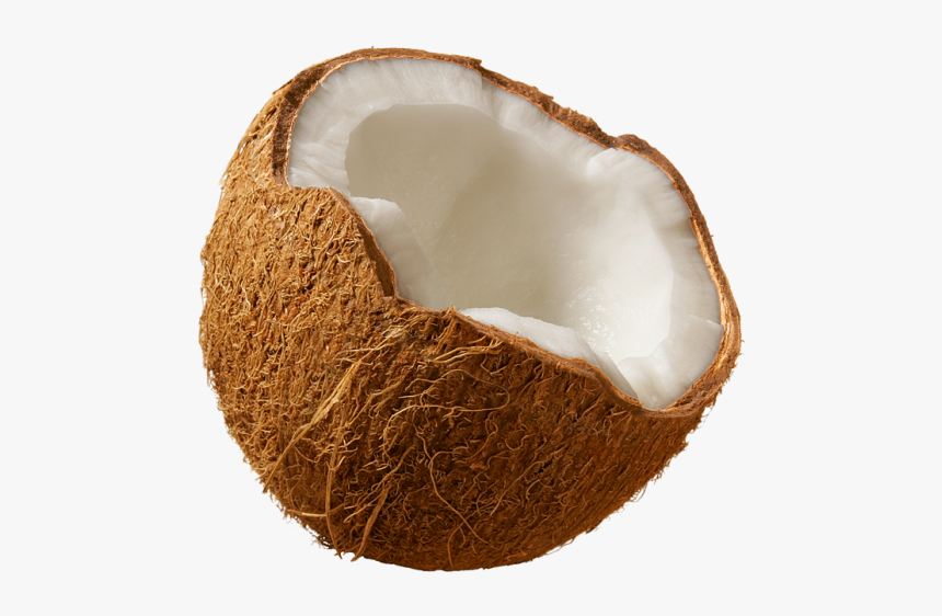 Coconut Png Free Download - Coconut Transparent Background, Png Download, Free Download