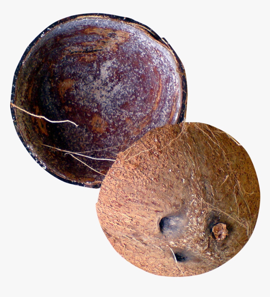 Coconut Shell Png Transparent Image - Coconut Shell Png, Png Download, Free Download