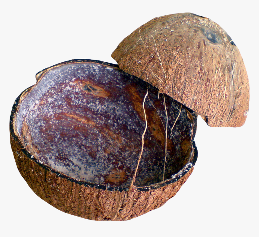 Coconut Shell, HD Png Download, Free Download