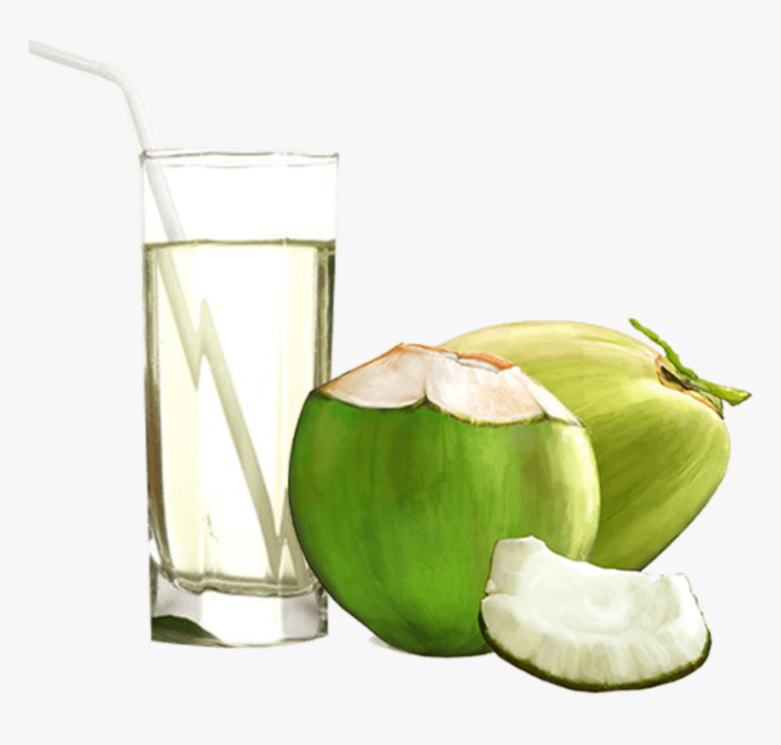 Coconut With Water In It Png - Coconut Water Glass Png, Transparent Png, Free Download