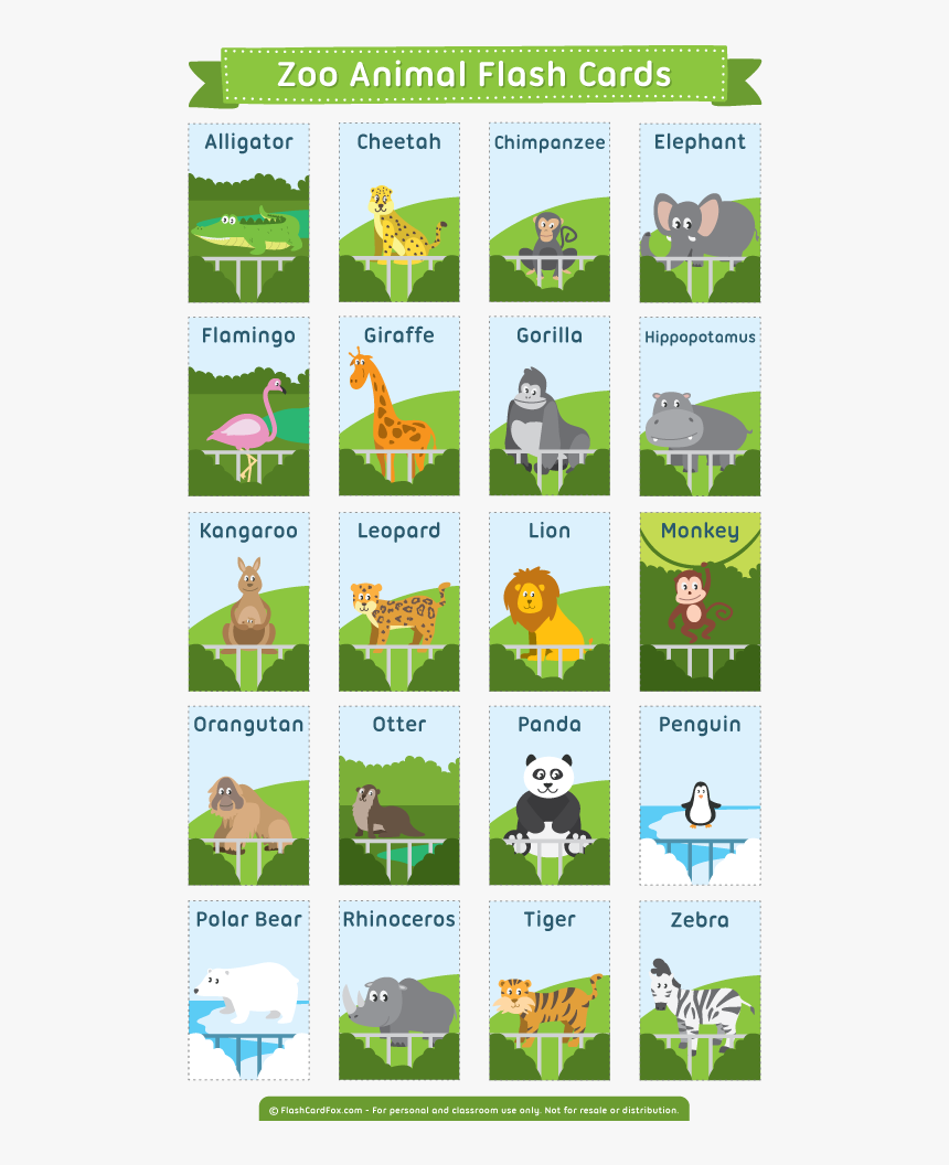 Zoo Clipart English School - Zoo Animal Flashcards Free Printable, HD Png Download, Free Download