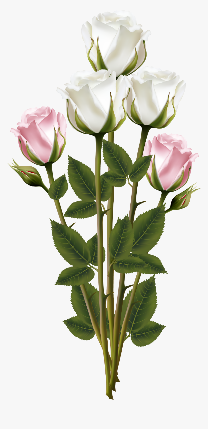 Transparent Flower Bouquet Vector, HD Png Download, Free Download