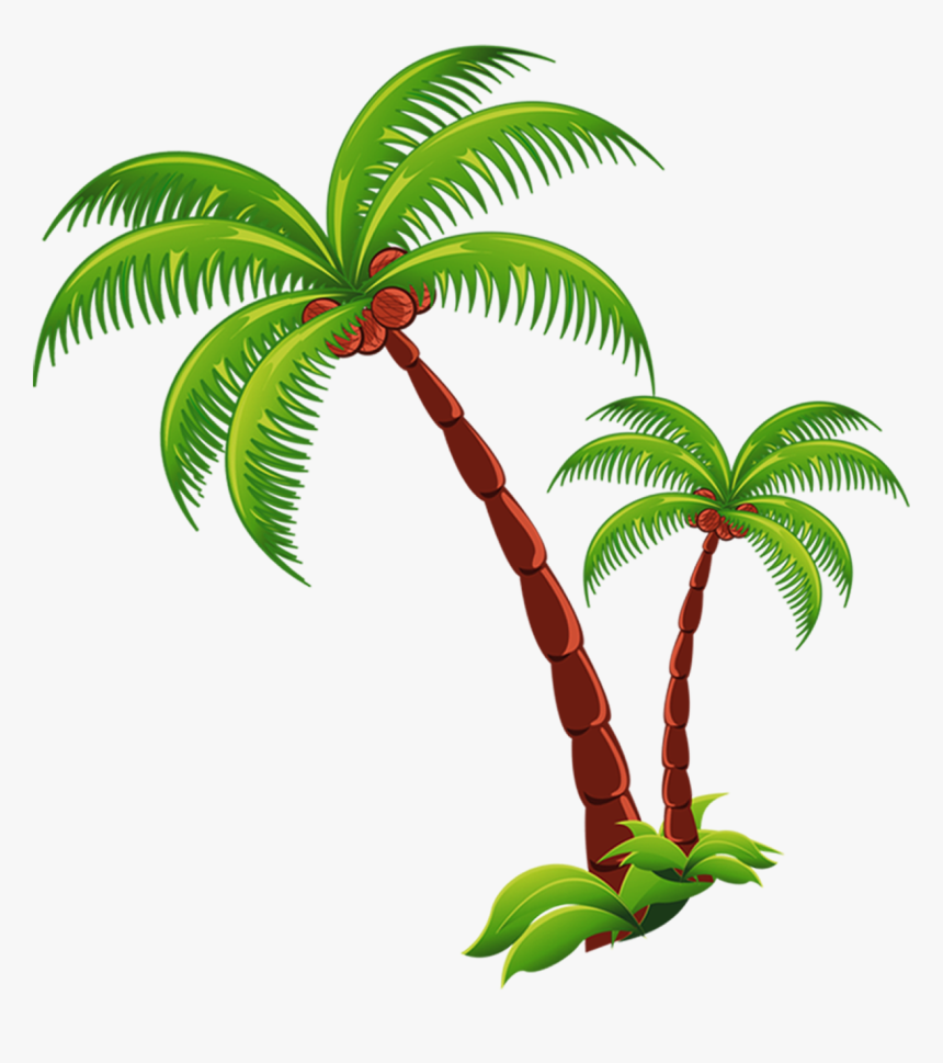 Coconut Beach Computer File - Coconut Tree Transparent Background, HD Png Download, Free Download