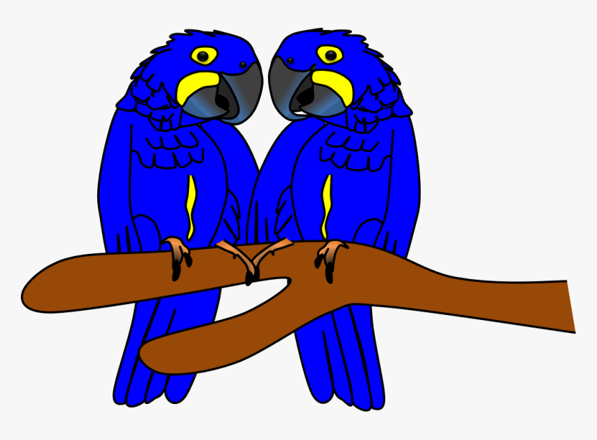 Transparent Zoo Clipart Png - Arara Azul Desenho Png, Png Download, Free Download