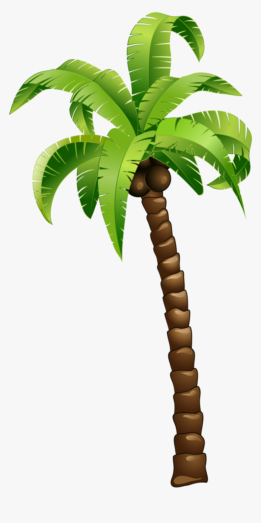 Cartoon Green Coconut Tree - Beach Background Summer Design, HD Png Download, Free Download