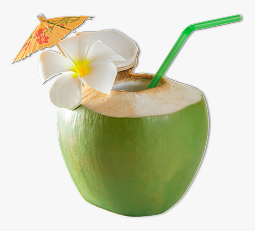 Coconut , Png Download - Green Coconut With Straw, Transparent Png, Free Download