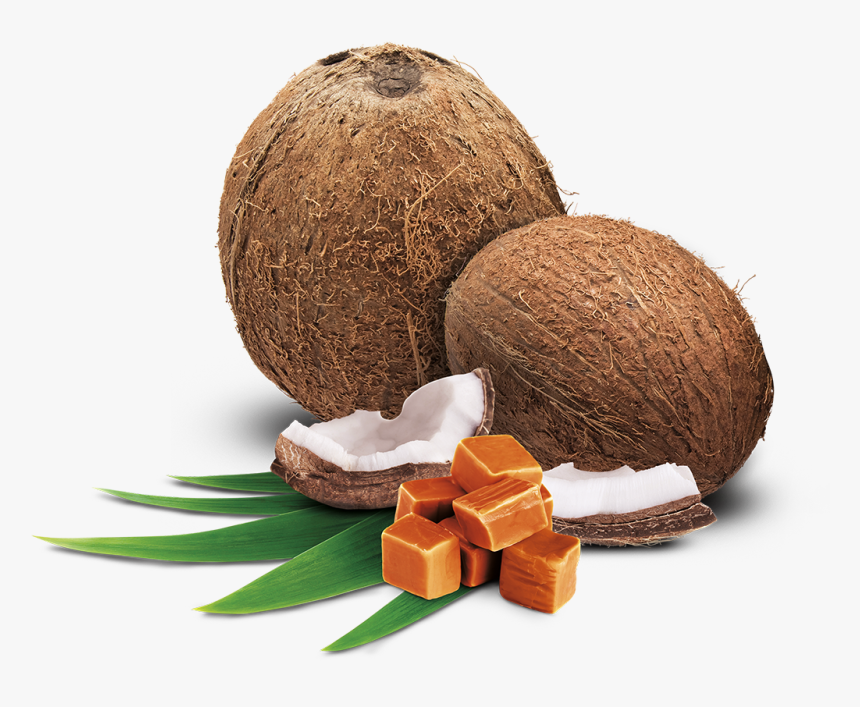 Coconut Caramel Png, Transparent Png, Free Download