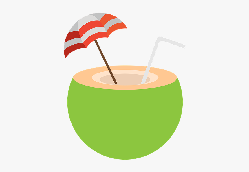 Beach, Coconut Water, Coconut, Travel, Summer, Sea, HD Png Download, Free Download