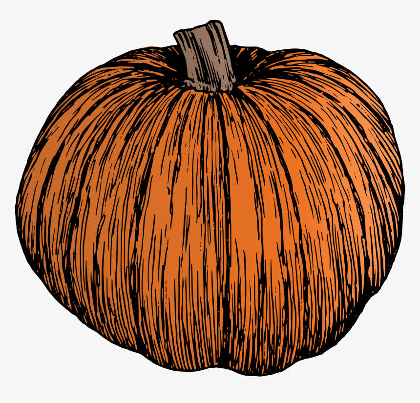 Vector Transparent Clipart Pumpkin - Pumpkin Illustration Black And White, HD Png Download, Free Download