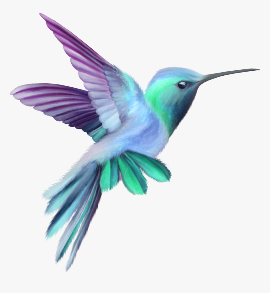 Watercolor Bird Png - Pink And Purple Hummingbird, Transparent Png, Free Download