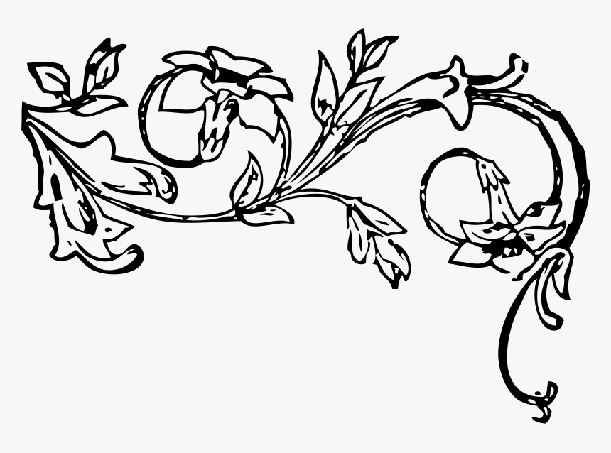 black and white vines