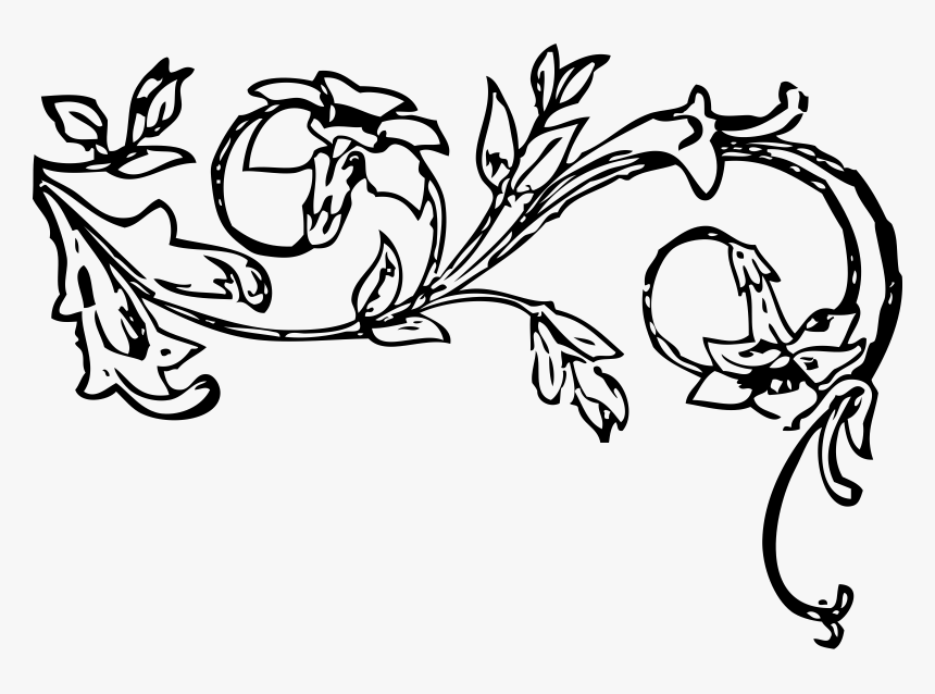 Vine Pumpkin Black White - Pumpkin Vine Clipart Black And White, HD Png Download, Free Download