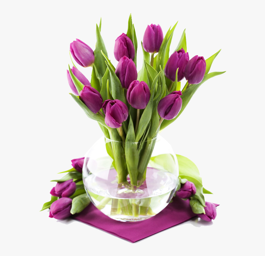 Tulip, HD Png Download, Free Download