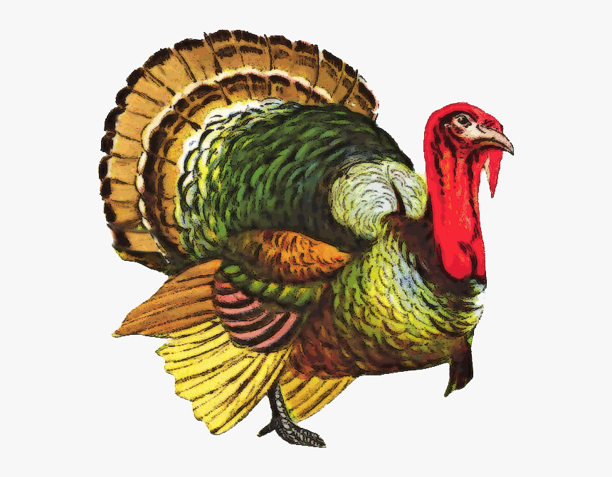 Turkey Png File - Vintage Turkey, Transparent Png, Free Download