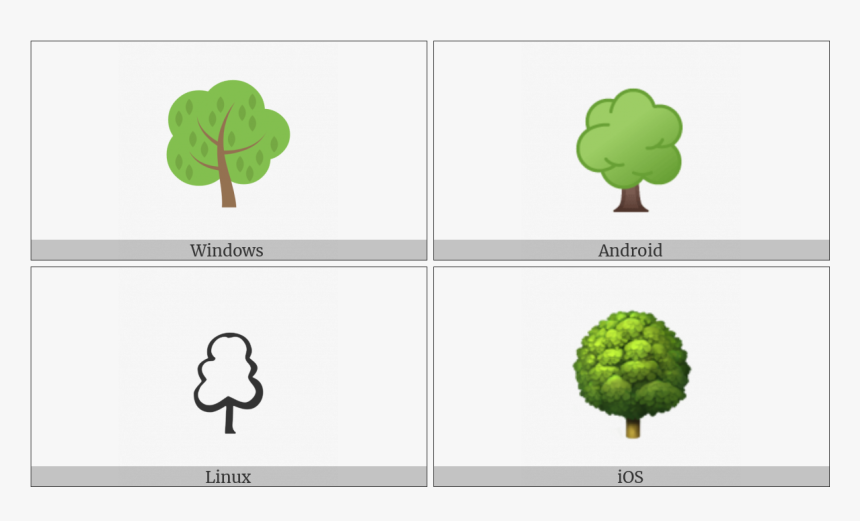 Deciduous Tree On Various Operating Systems - Broccoli, HD Png Download, Free Download