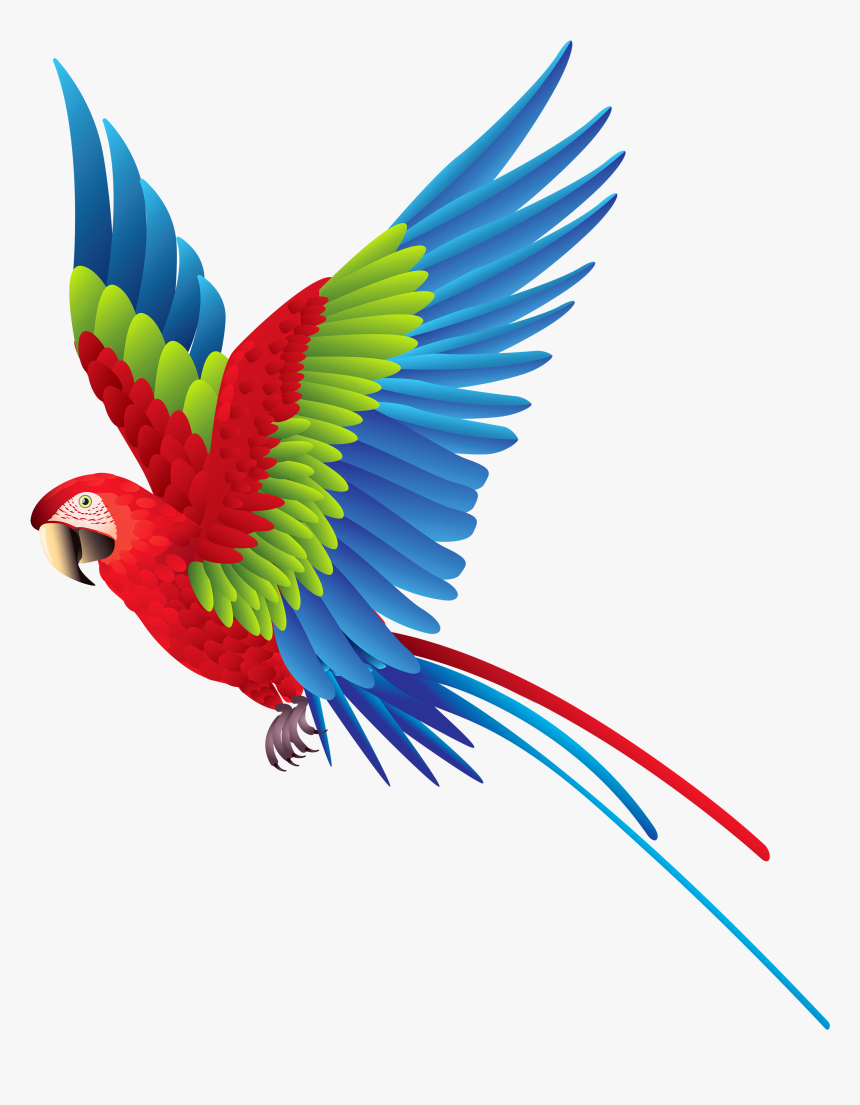 Colourful Parrot Png Clipart - Flying Parrot Clipart, Transparent Png, Free Download