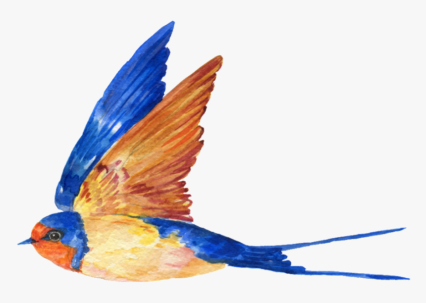 This Graphics Is Hand Painted A Free Flying Bird Png - Birds Transparent Background Fly, Png Download, Free Download