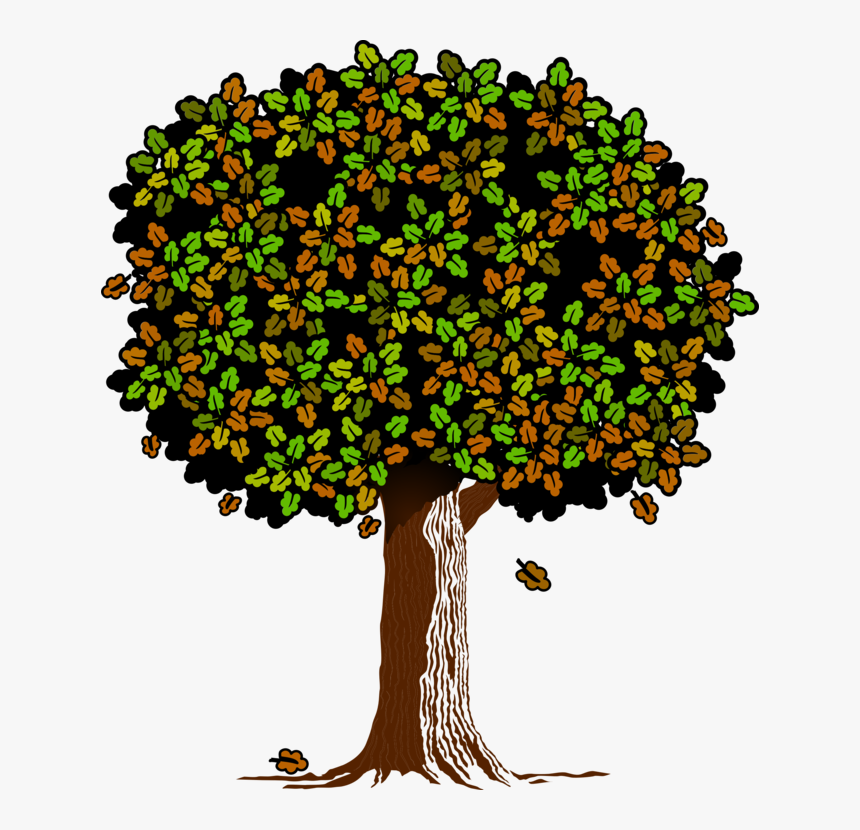 Transparent Deciduous Trees Png - Oak, Png Download, Free Download